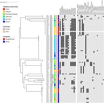 Genomic analysis of Salmonella enterica from Metropolitan Manila abattoirs and markets reveals insights into circulating virulence and antimicrobial resistance genotypes